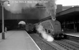 img2840 TM Neg Strip 75 60022 waiting right o way White Rose to Leeds Kings Cross 22 Sept 62 c...jpg