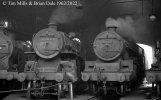 img2862 TM Neg Strip 74 43118, 45620  Row of locos around turntable Kentish Town 1 Sept 62 cop...jpg