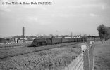 img3102 TM Neg Strip 60 75031 down Bletchley South Kenton lineside 30 May 62 copyright Final.jpg