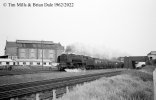 img3105 TM Neg Strip 60 46228 down Northern Irishman South Kenton lineside 29 May 62 poss Head...jpg