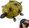 Tortoise remote control.jpg