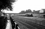 img3246 Neg Strip 64 6011 up Inter City express to Birmingham N Acton 15 Jun 62 copyright Final.jpg