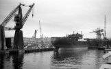 img3930 TM Neg Strip un numbered.  poss 3 Ship No 1576 Carrigan Head cargo ship built Harland ...jpg