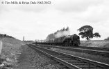 img3276 Neg Strip 65 60119 up Newcastle Rose Potters Bar 23 Jun 62 copyright Final.jpg