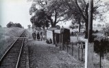 Cutlers Green Halt 1951.jpg