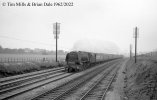 img3423 TM Neg Strip 69 46243 up extra Tring Station area 14 Apr 62 copyright Final.jpg