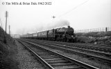 img3435 TM Neg Strip 69 45191 down special Tring Station area 14 Apr 62 copyright Final.jpg