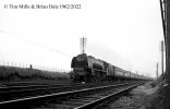 img3438 TM Neg Strip 69 46238 up Carlisle lineside Tring 14 Apr 62 copyright Final.jpg