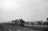 img3496 TM Neg Strip 2 30911 down Kent Coast express New Cross 16 Jun 58 Final NEW.jpg