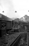 img3500 TM Neg Strip 2 70004 Kentish Town MPD on shed too long for turntable 16 Jun 58 Final.jpg