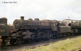 43106.  Eastleigh Shed Yard.  23 May 1965.  Personal Collection.  copyright Final.  Photo Bria...jpg