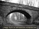 derwent-walk-friarside-bridge-mono.png