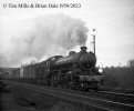 img3766 TM Neg Strip 13 61361 up freight Witham Essex 28 Mar 59  copyright Final NEW.jpg