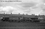 img3786 TM Neg Strip 14 61577 on Cambridge Shed 7 Jun 59 copyrigt Final.jpg