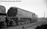 img3825 TM Neg Strip 15 34074 Eastleigh Shed 14 Jun 59 copyright Final NEW.jpg