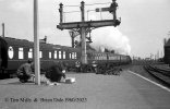 img3907 TM Neg Strip 19 61378 Witham Stn down Clacton boys recording 18 Apr 60 copyright Final.jpg