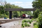 davenport036A8959.jpg