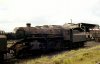 43073.  Eastleigh Shed.  23 May 1965.  Personal Collection.  Final.  Photo Brian Dale.jpg