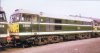 Class 31 BR Early Green.jpg