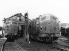 D6313 at Laira 5Aug61.jpg