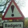 Badger