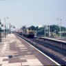Devonbelle